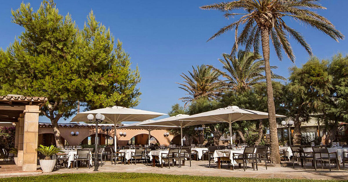 delincuencia Prehistórico río 7 Restaurants in Port de Pollença that will tickle… | Secret Mallorca
